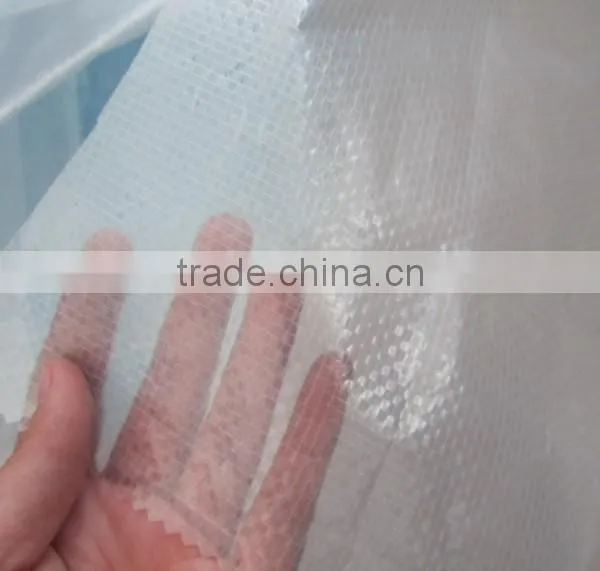 Plastic Tarpaulin Cover Fabric to Protect Cherries Against Rain photo-2