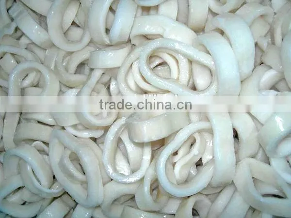 IQF frozen fresh squid ring/loligo squid ring