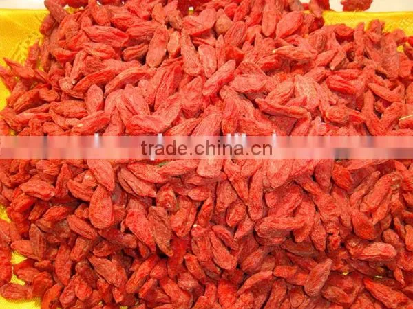 NingXia Goji Berries Hot Selling photo-4