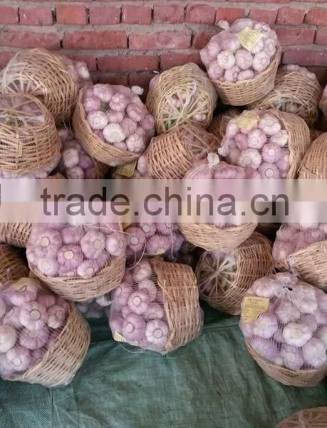 Garlic ( White - Red ) High Quality photo-4