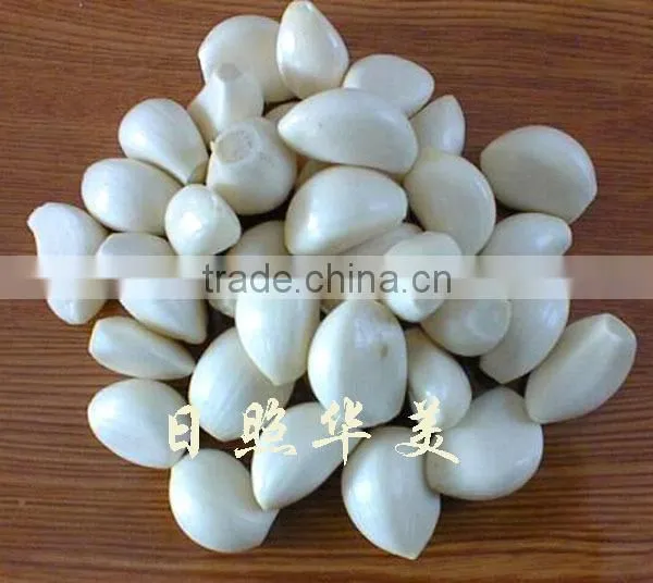 New Crop High Quality Fresh Garlic Directly Supply photo-2