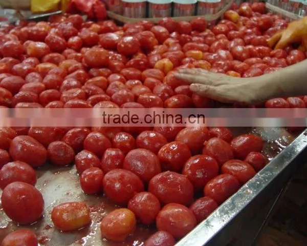 Canned Tomato Paste Triple Concentrate Tomato Sauce Aseptic Tomato Paste photo-3