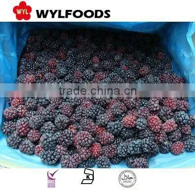 Chian Fruite Frozen IQF Black Berry photo-2
