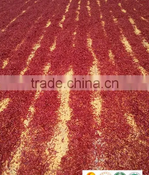 Chilli Wholesaler elongated chilli dried chilli threaded