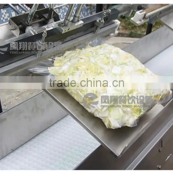 LSBZ-3 Industrial Vacuum Packing Machine,fast Food Machine,food Tray Sealer photo-6