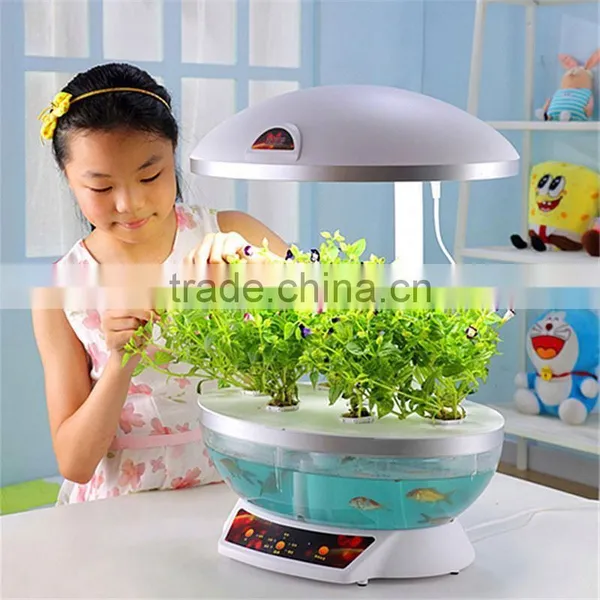 Consumer Electronics in Dubai photo-3