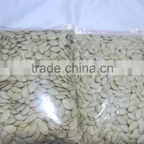 Shine Skin/snow White Pumpkin Seeds in Shell