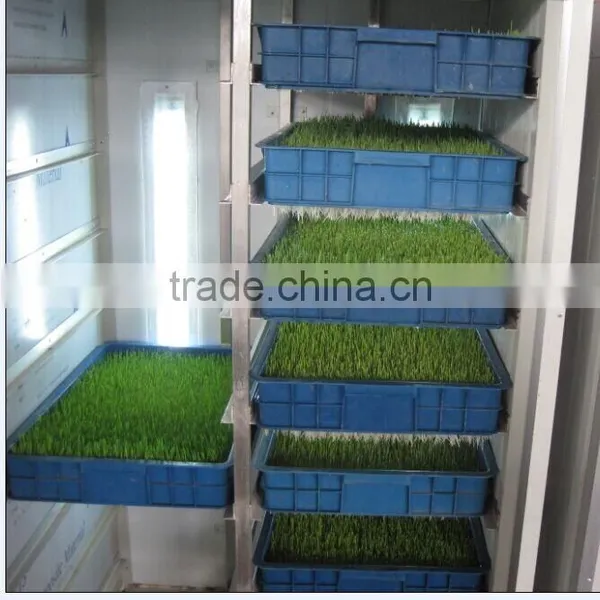 100kg-1000kg Bean Sprout Machine photo-2