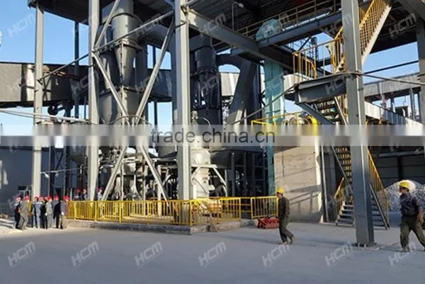 Good Quality Manganese Powder Processing Equipment, Manganese Grinding Mill photo-5