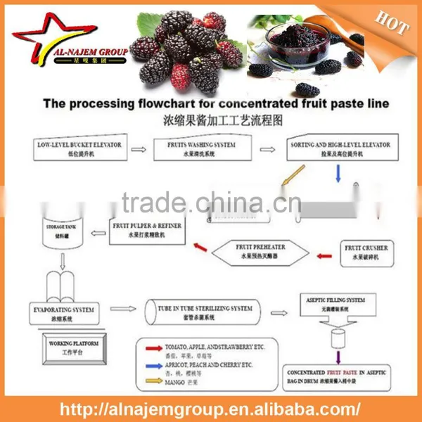 Mulberry Paste Making Production Line High Viscosity Liquid Filling Machine photo-5