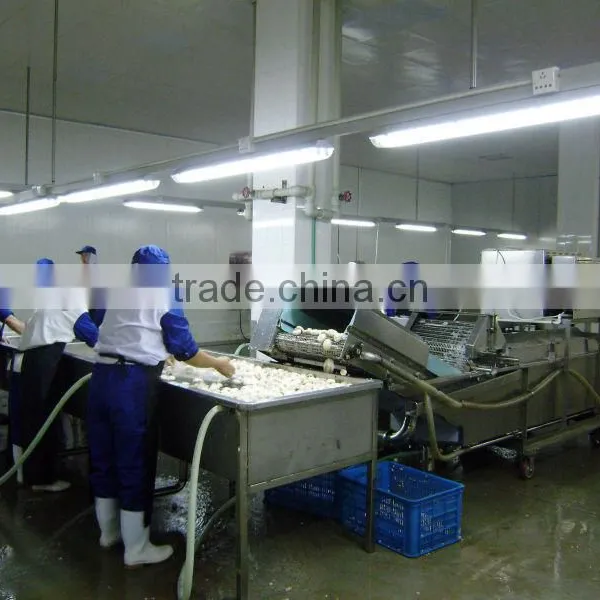 Vegetables and Fruits Bubble Washer photo-2