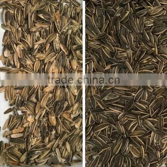 Good Performance Ccd Sunflower Seed Color Sorter Machine in China photo-3