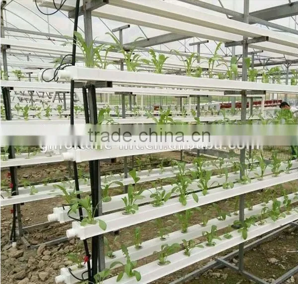 Vertical Hydroponics System photo-3