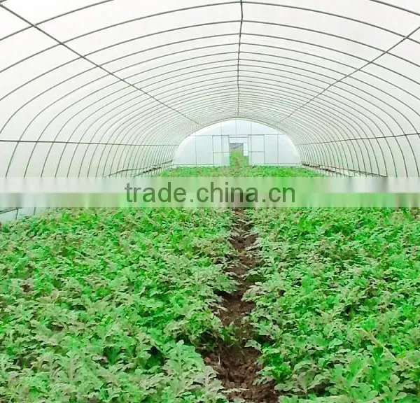 Poly Tunnel Agricultural Greenhouse photo-6