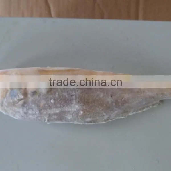 Frozen Yellow Croaker 75/100 G/pc photo-2