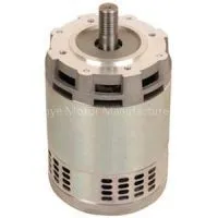 24V 750W Series DC Motor