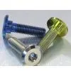 GR2,GR5Titanium Screw, Bolt, Nuts, Thread Rod of DIN Standard From M1 to M24
