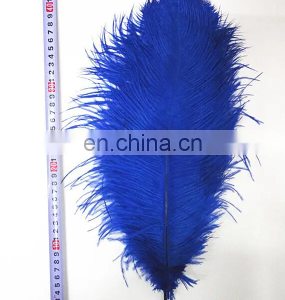 Ostrich Feather photo-3