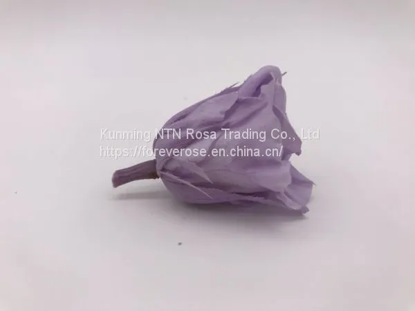 Wholesale3-4cm Elegant Real Touch Preserved Rose Flower photo-4