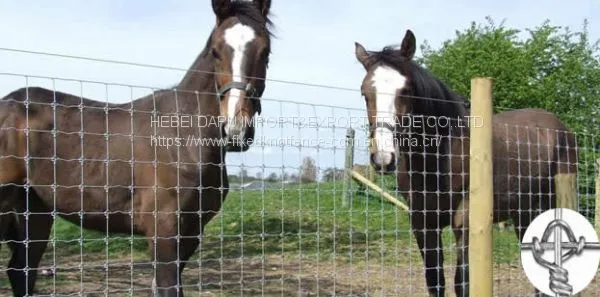 High Quality Fixed Knot Horse Wire Mesh Fence Panel