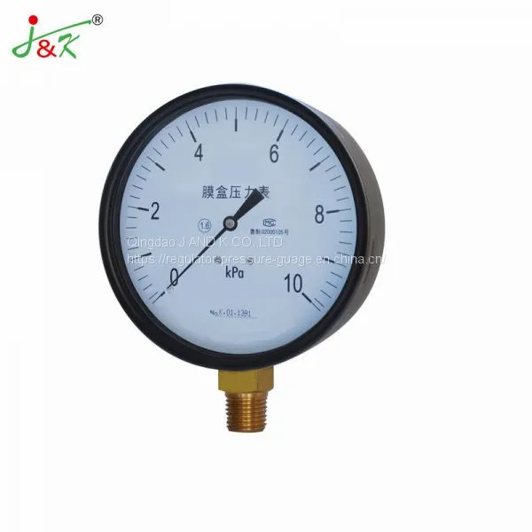 Stainless Steel Capsule Manometer Pressure Gauge With High Quality! photo-3