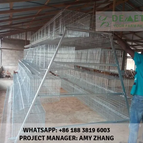 3 Tier A-type 90 Layer Chicken Cage Automatic Drinking System for Sale in Zambia photo-3