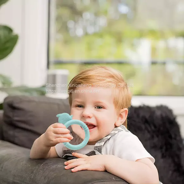 2022 New Style Cute Dolphin Handheld Food Grade Silicone Baby Teether Souvenirs Rattle Toys photo-5