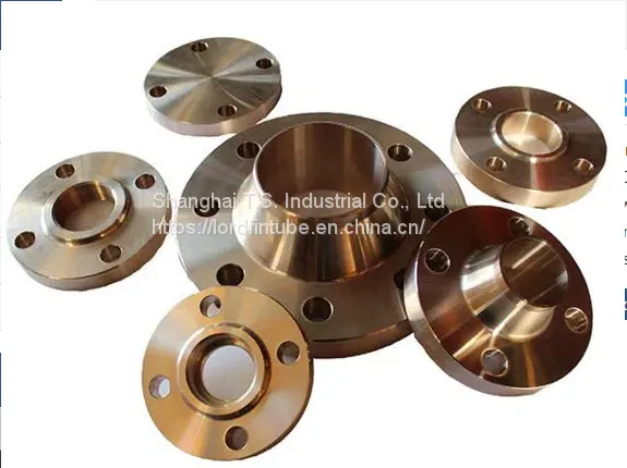Copper Nickel Flange