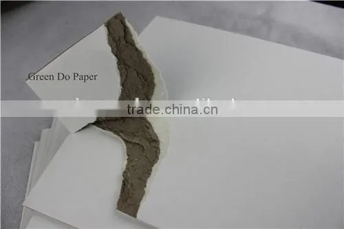 White Coated Duplex Card Board Grey Back/FBB/Ivory Board/Bond Paper photo-2