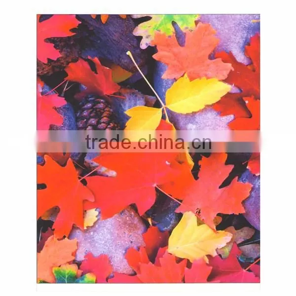 Microporous Glossy Polypropylene 210mic Rolls Waterproof pp Film for Pigment,dye Ink photo-3