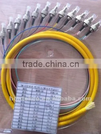 Om3 sc Apc/fc Apc/upc /apc12 Core Fiber Optic Pigtail/optical Fiber Patchcord