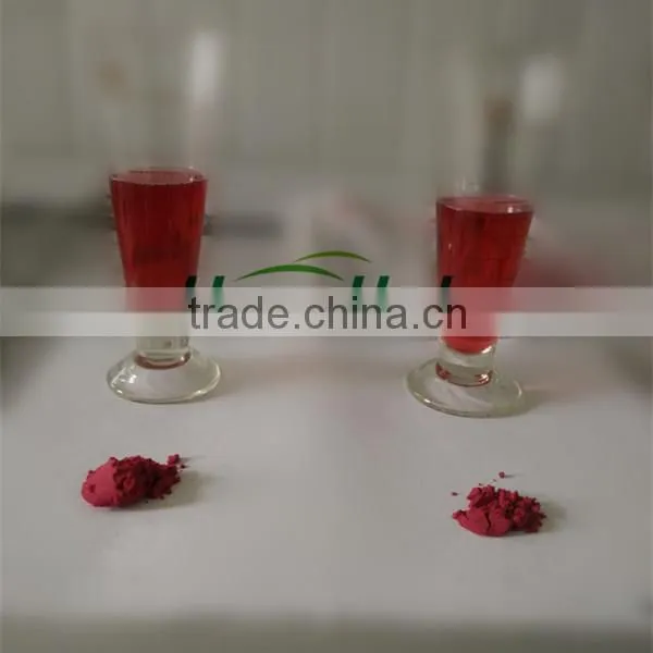 Instant Blueberry Powder Water Soluble Freeze Dried photo-2