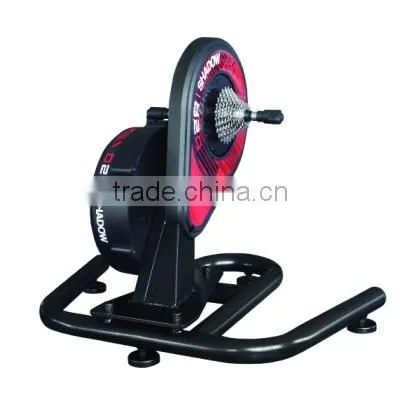 D2R Direct Drive Non-swing Version Magnetic-control Indoor Bike Home Trainers