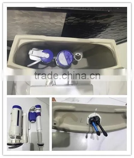 YL1009practical S-trap/p-trap One-piece Toilet photo-6