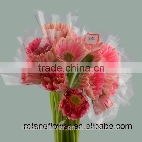 Kunming Flower Export Long Stem Glass Flowers Pvc Flower Stem With 70-80cm Long From Yunnan, China photo-6