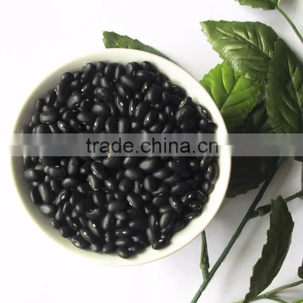Dired China Bean for Sale in for Black Bean for Sale photo-5
