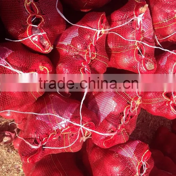 Fresh (RED ,Yellow , White ) ONION photo-3