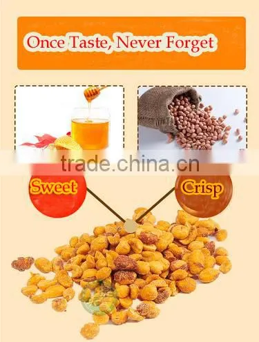 Peanuts Export to Canada Wholesale Bulk Health Sanck Food Honey Peanuts photo-4