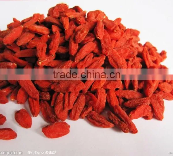 Polysacchrides 20%-90% Wolfberry Extrat/Goji Berry Extract/ Goji Berry Powder Extract photo-3