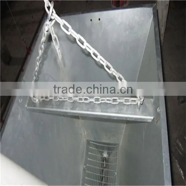 Automatic Broiler Chicken Farming Equipment photo-4