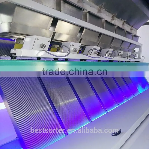 Hot Sale and Prefect Quality Coffee Bean Color Sorter photo-3