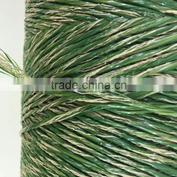 Factory 10000D/16F PP & PE Artificial Grass Yarn for Landscaping/Leisure photo-3