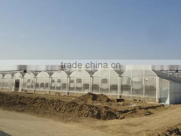 Factory Price Multi-span Plastic Greenhouse photo-3