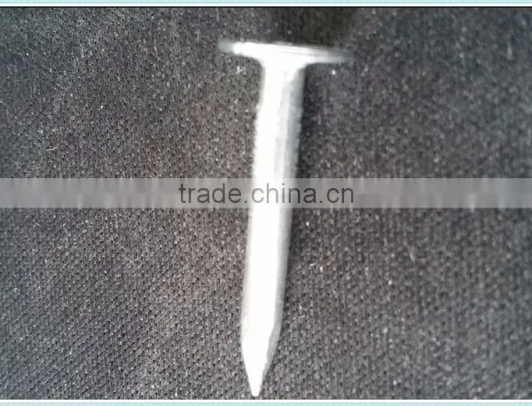 HOT!roofing Coil Nails photo-4