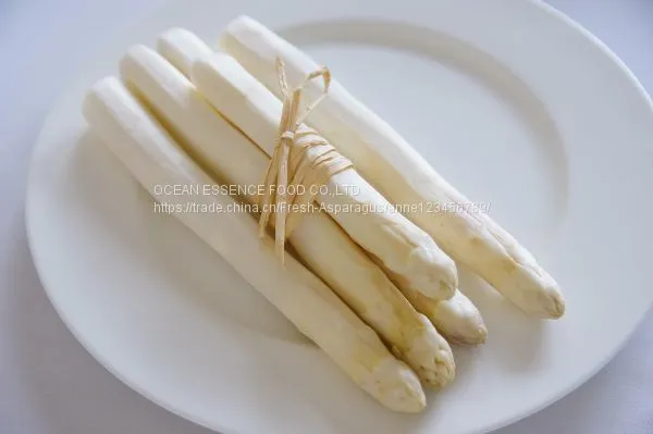 Best Price Fresh White Asparagus photo-3