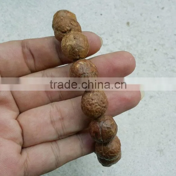 15 Beads Phoenix Eye Bodhi Seed Genuine Indonesian Buddha Chitta Mala Phrengba photo-2