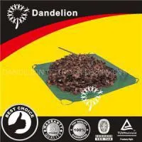 PE Leaf Tarps