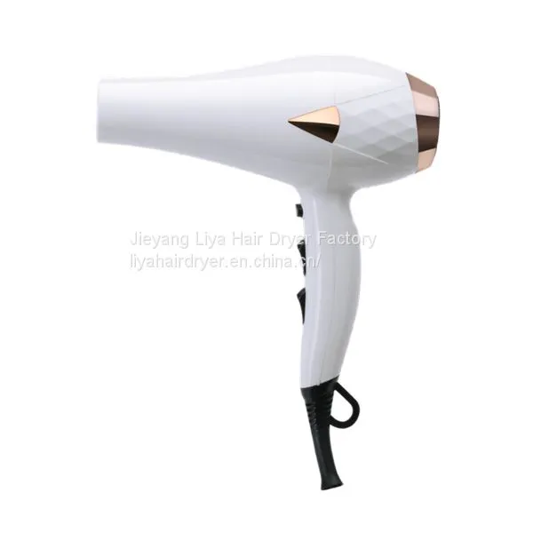 Competitive Price Professional Salon Use Hair Dryer With AC Motor photo-2