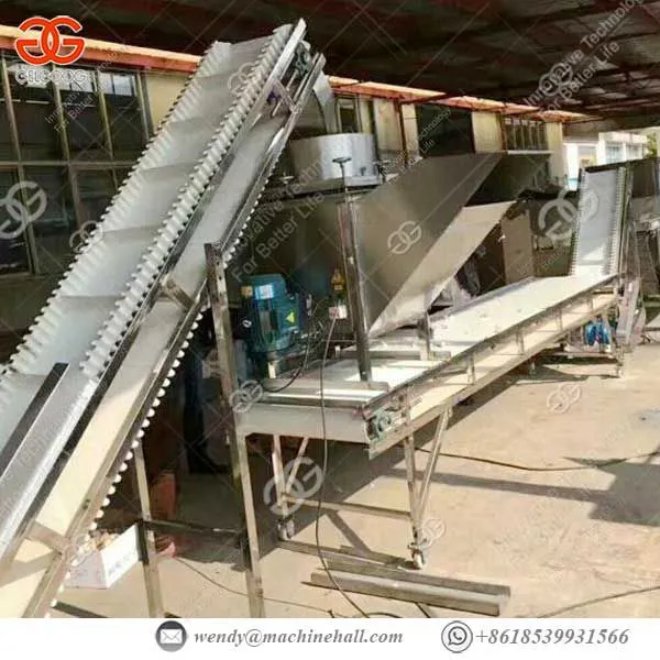 Home Use Automatic Electric Automatic Peeling Machine photo-3