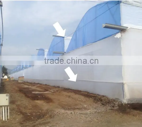 Agriculture Muti-span Greenhouse photo-3